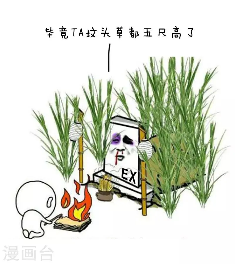第57话 清明节代扫墓服务了解一下 第5页