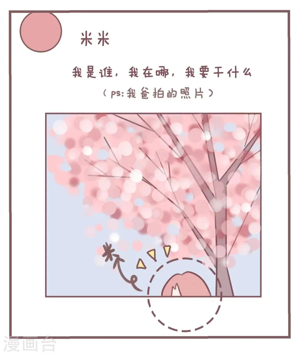 第82话 论家长们的拍照技术 第3页