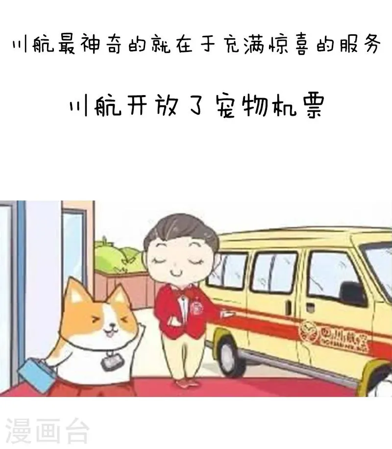 第91话 原来你是这种川航 第11页