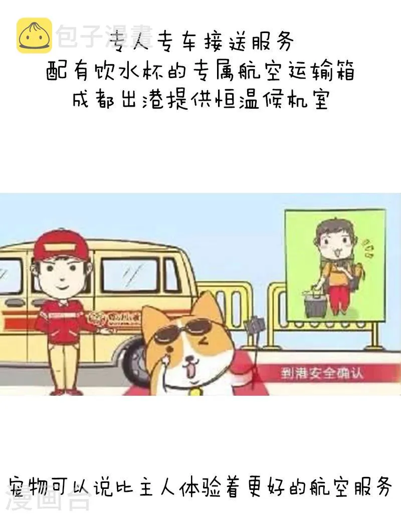 第91话 原来你是这种川航 第12页