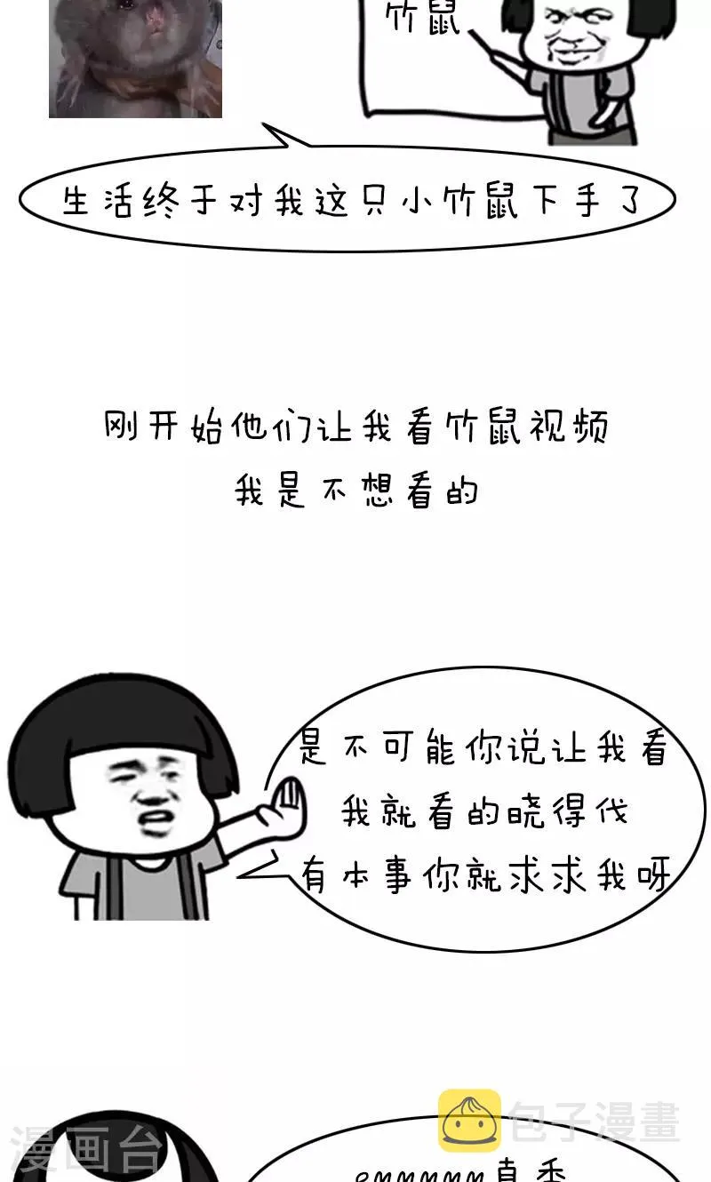 第178话 表情包丨吃竹鼠的一百种理由 第2页