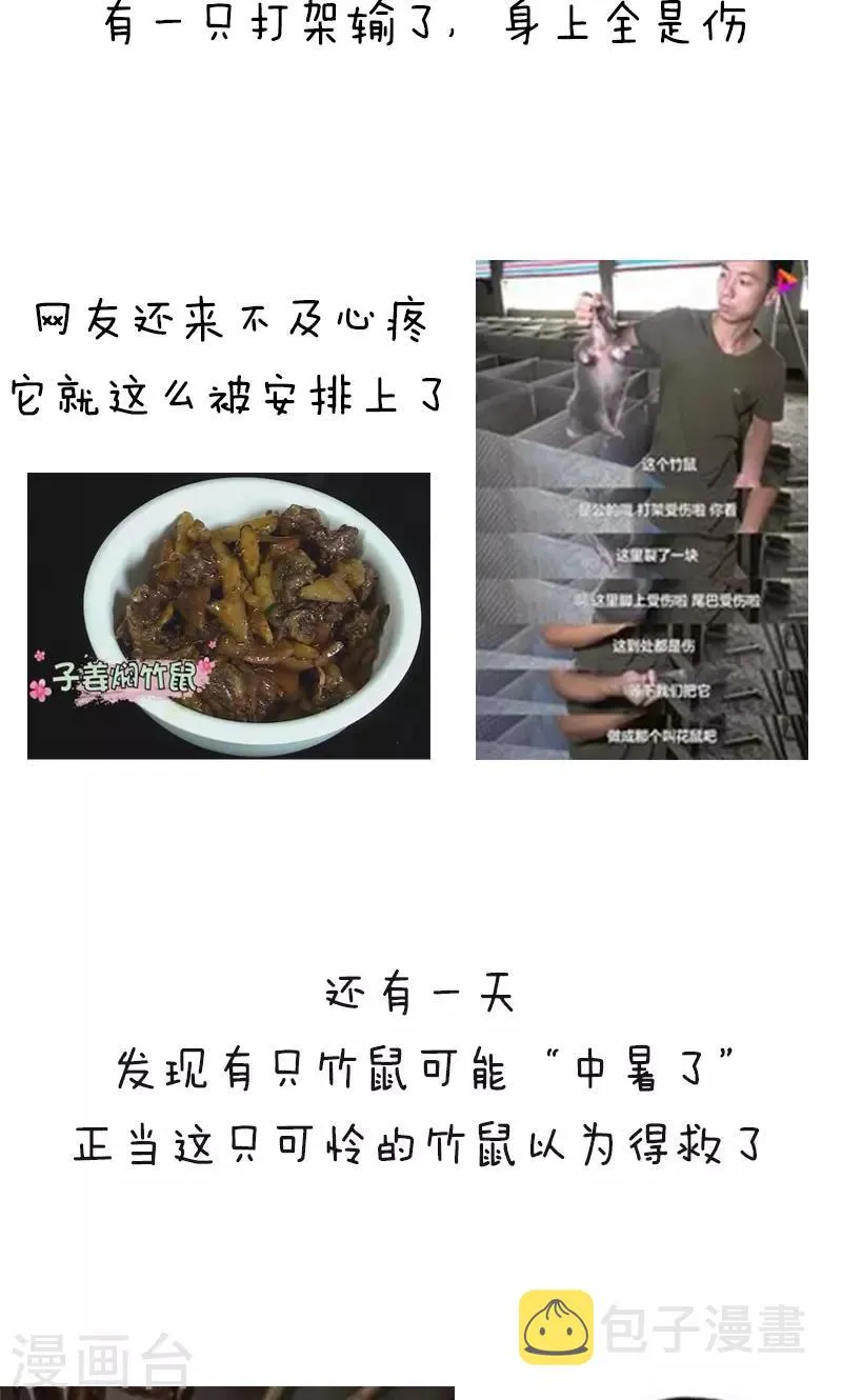第178话 表情包丨吃竹鼠的一百种理由 第4页