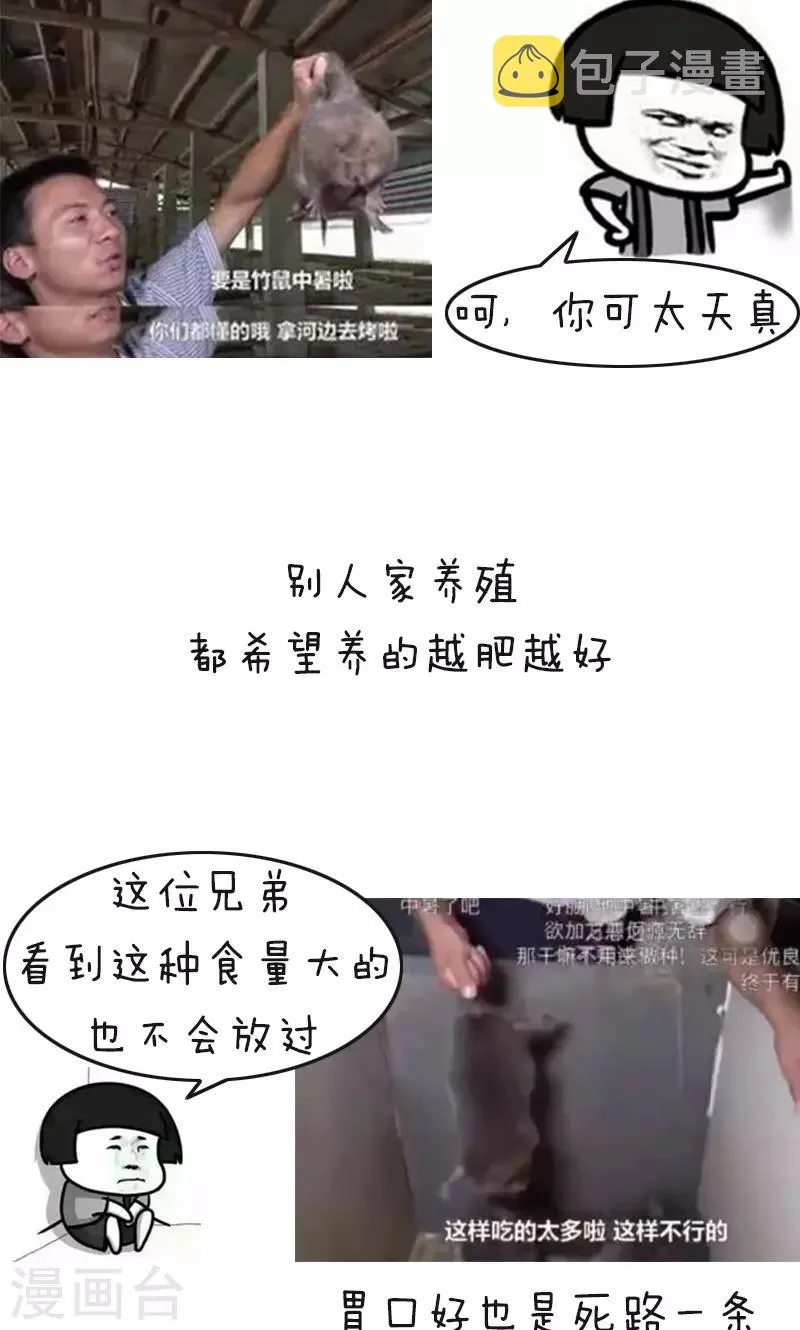 第178话 表情包丨吃竹鼠的一百种理由 第5页
