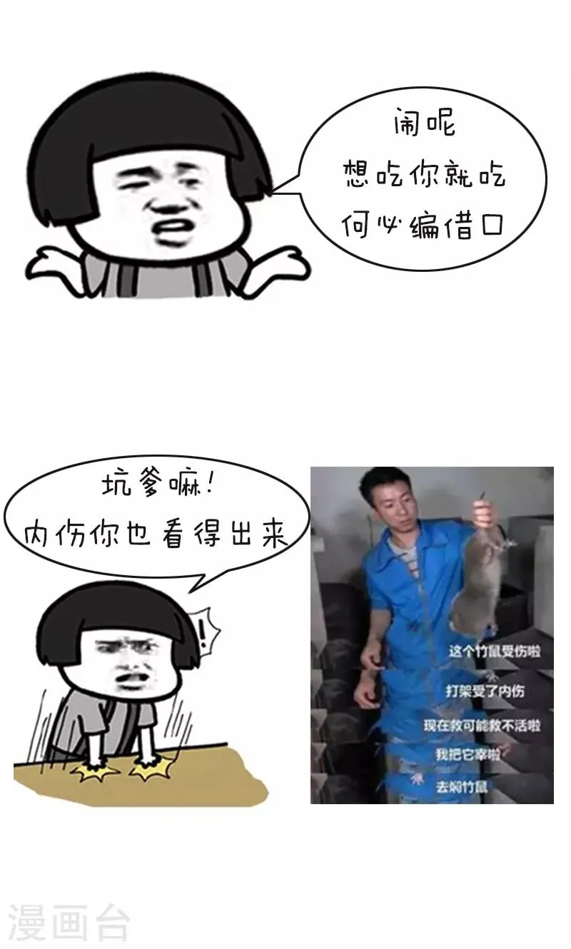 第178话 表情包丨吃竹鼠的一百种理由 第7页