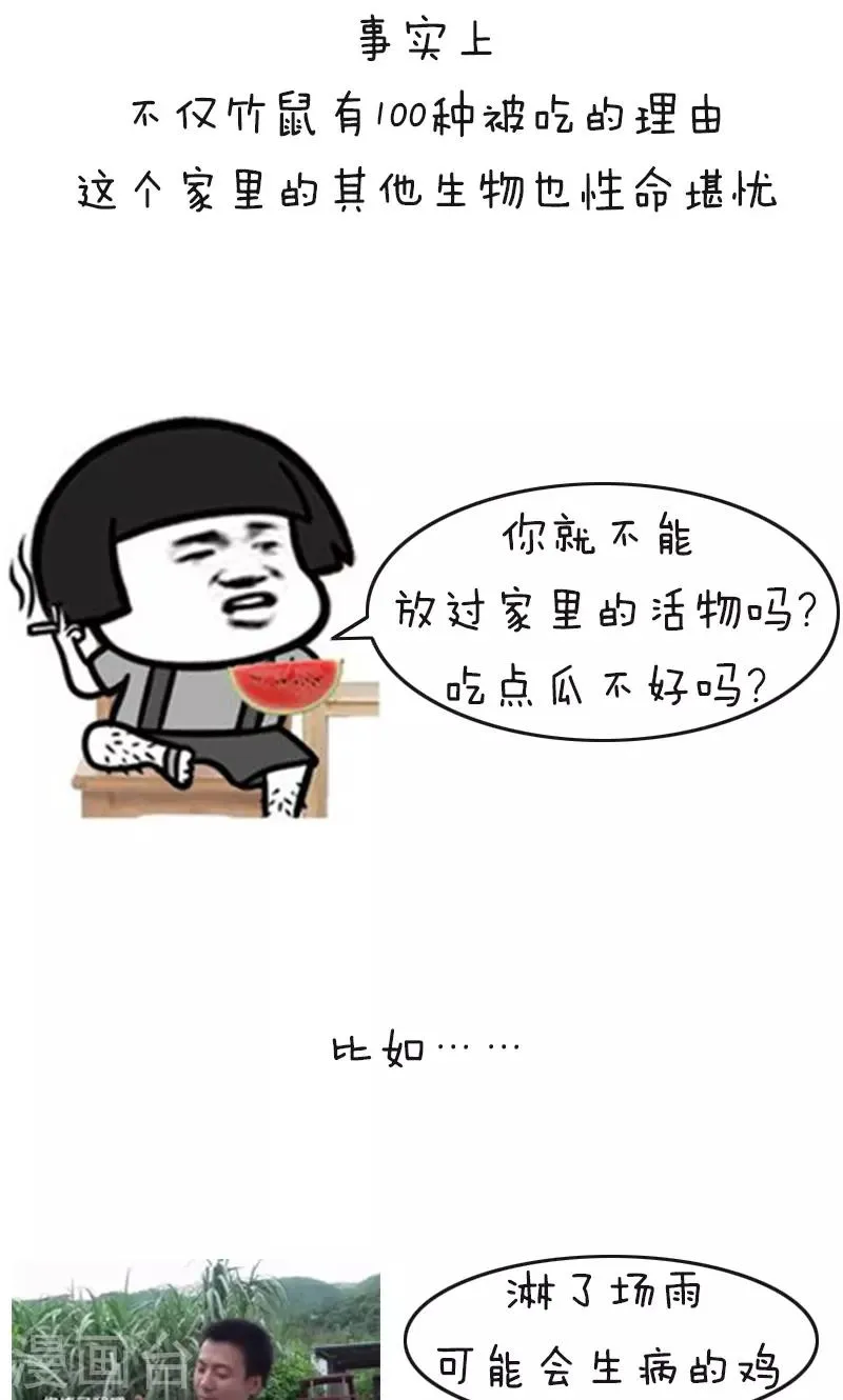 第178话 表情包丨吃竹鼠的一百种理由 第8页