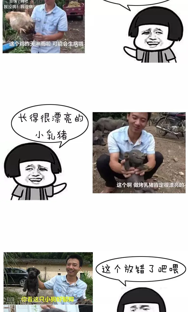 第178话 表情包丨吃竹鼠的一百种理由 第9页
