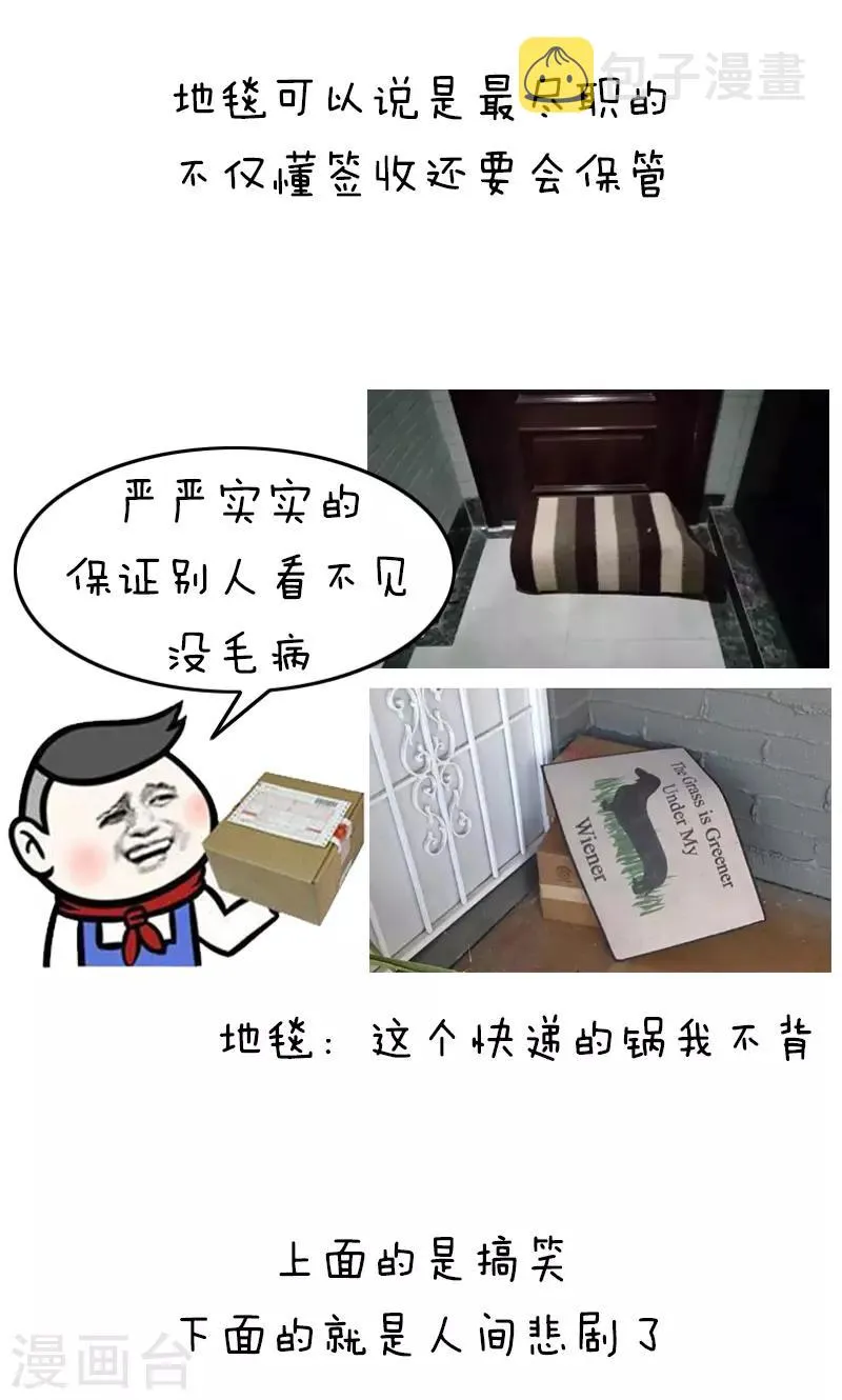第228话 表情包丨你的快递被什么签收过 第8页