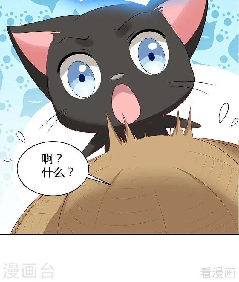 第16话 修炼释灵丹 第10页