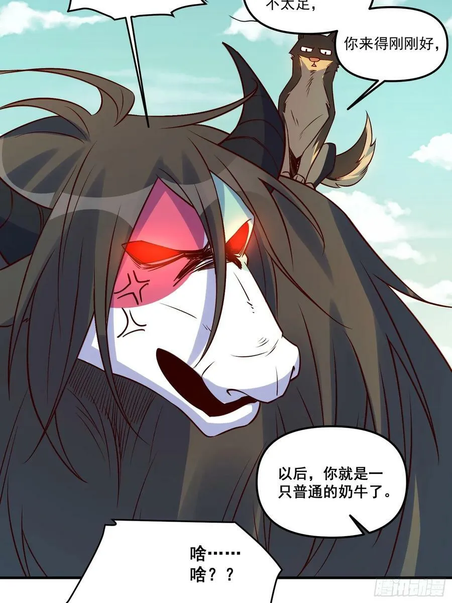 221话 第41页