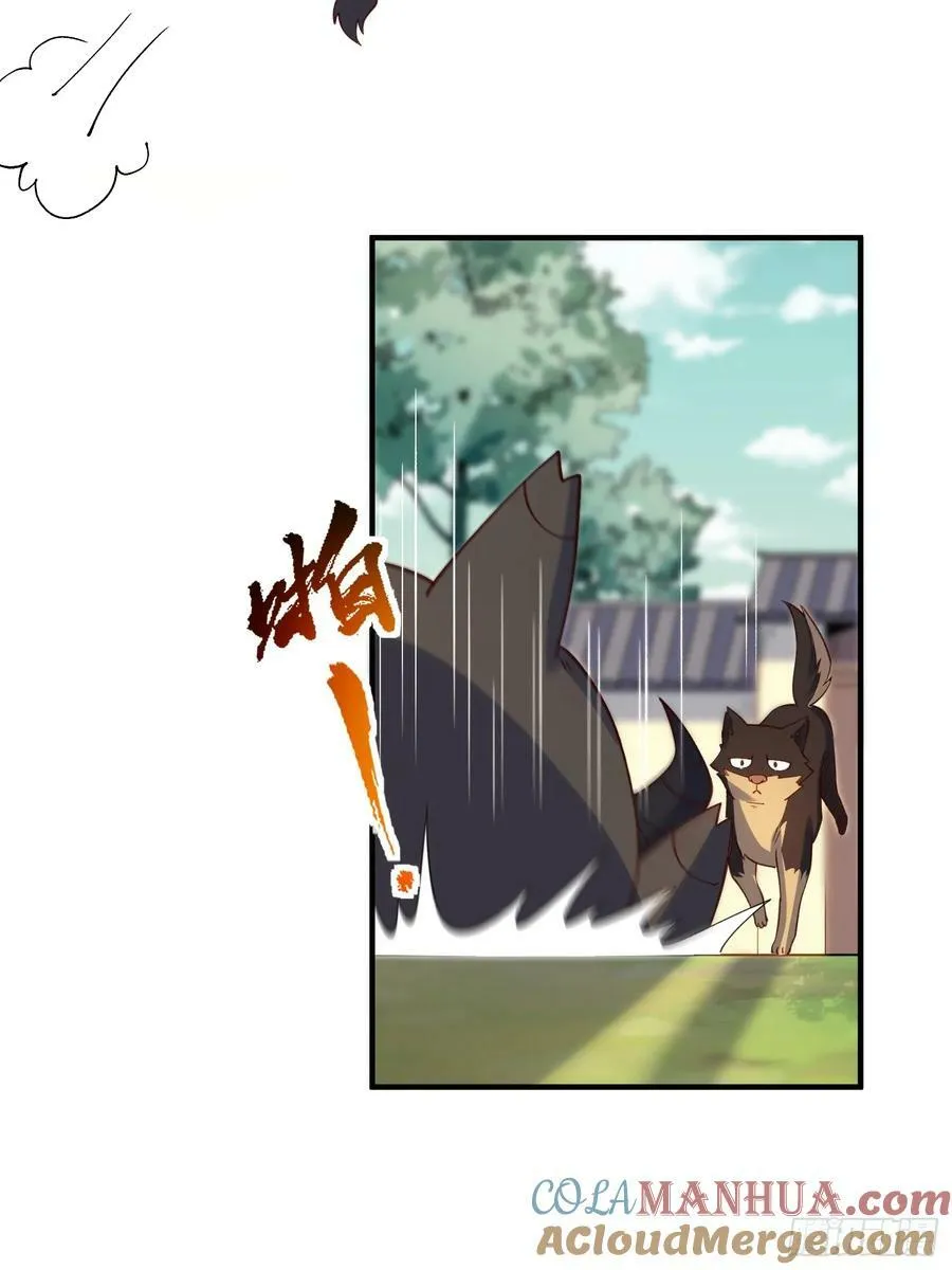 221话 第49页