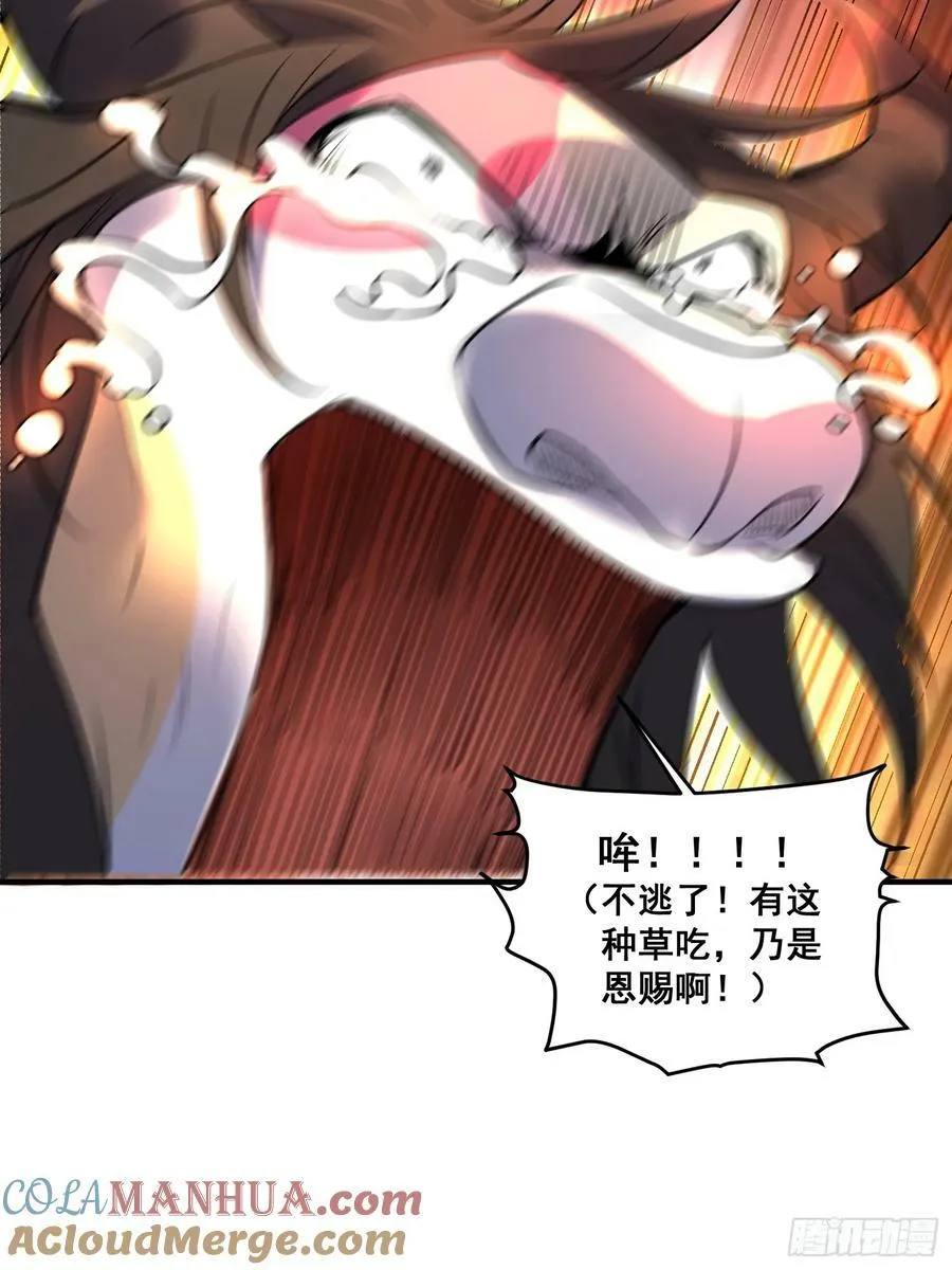 222话 第22页
