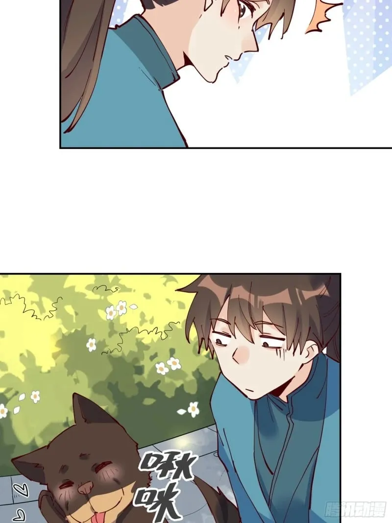 255话 第20页