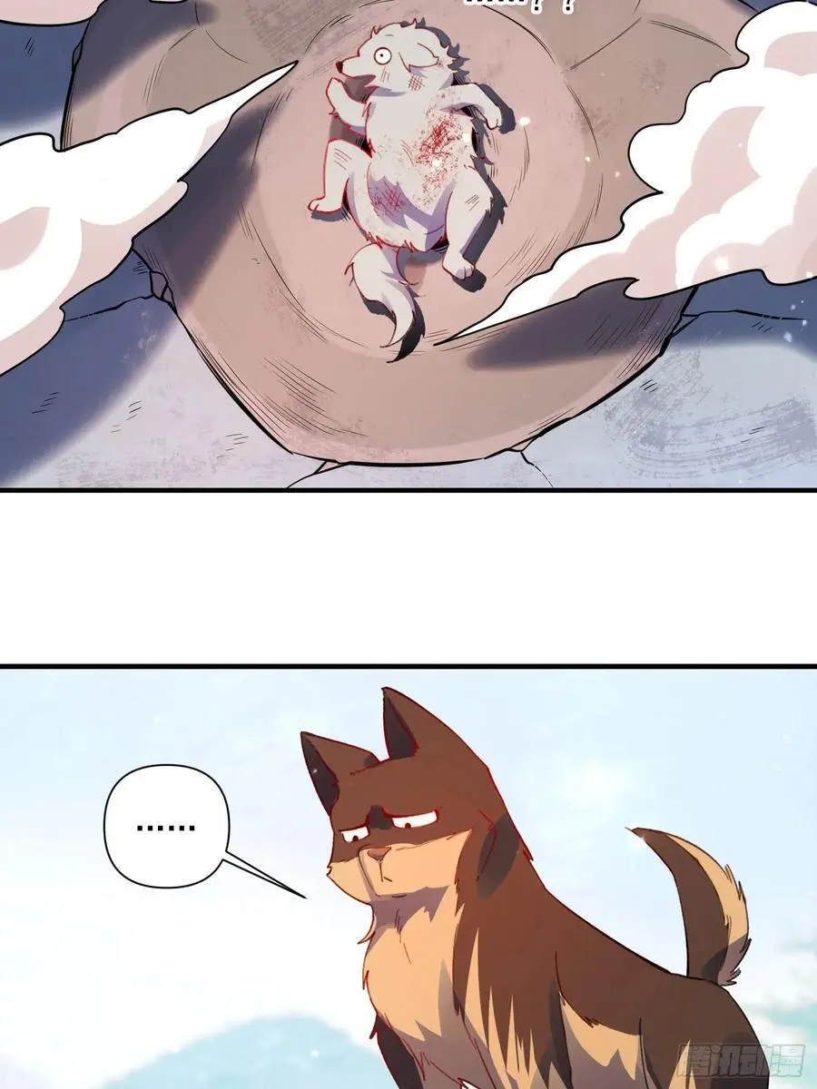 348话 第62页