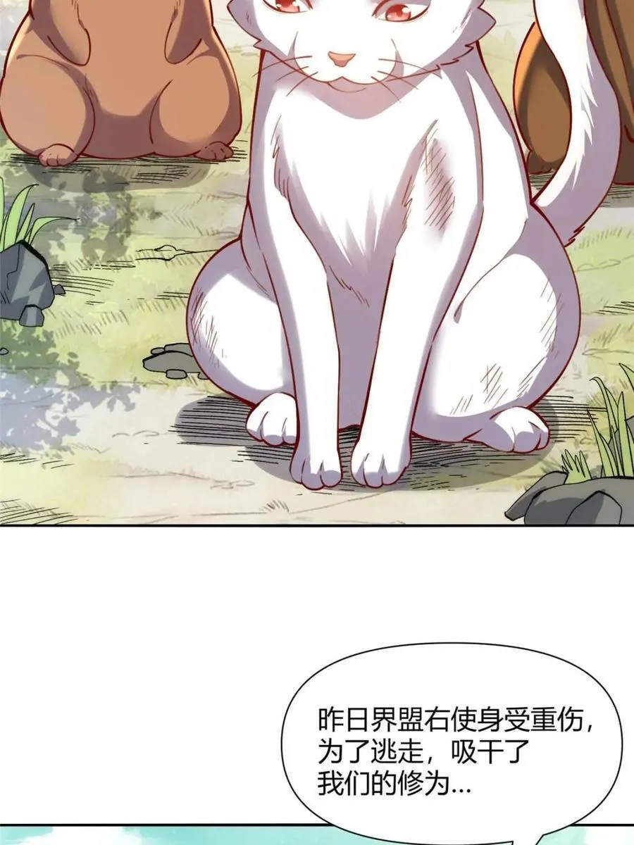 第464话 464话 第35页