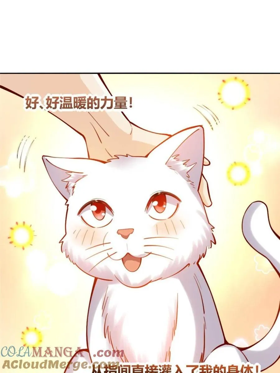 第464话 464话 第46页