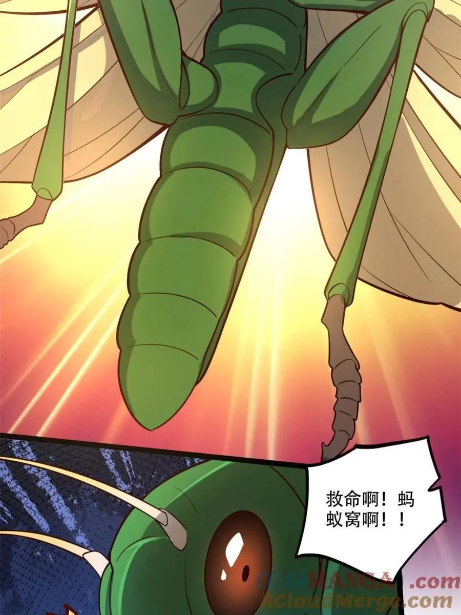 第562话 562话 第43页