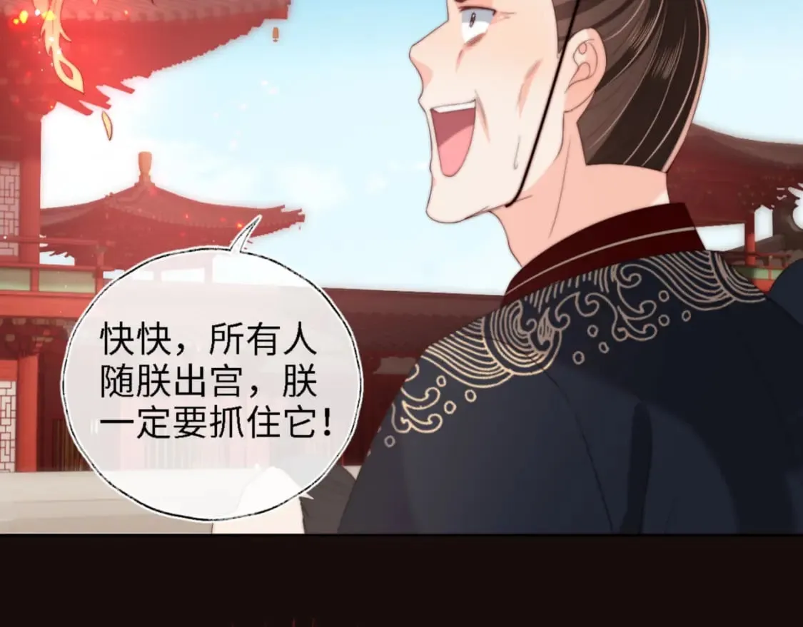 第41话 里应外合 第11页