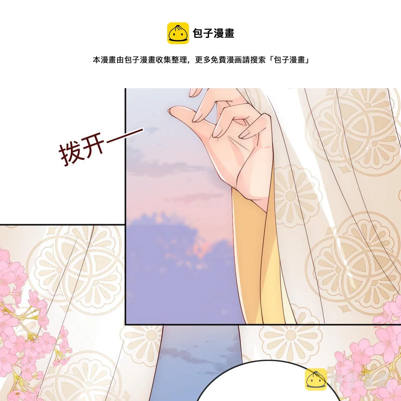 皇家特供了解一下 第11页