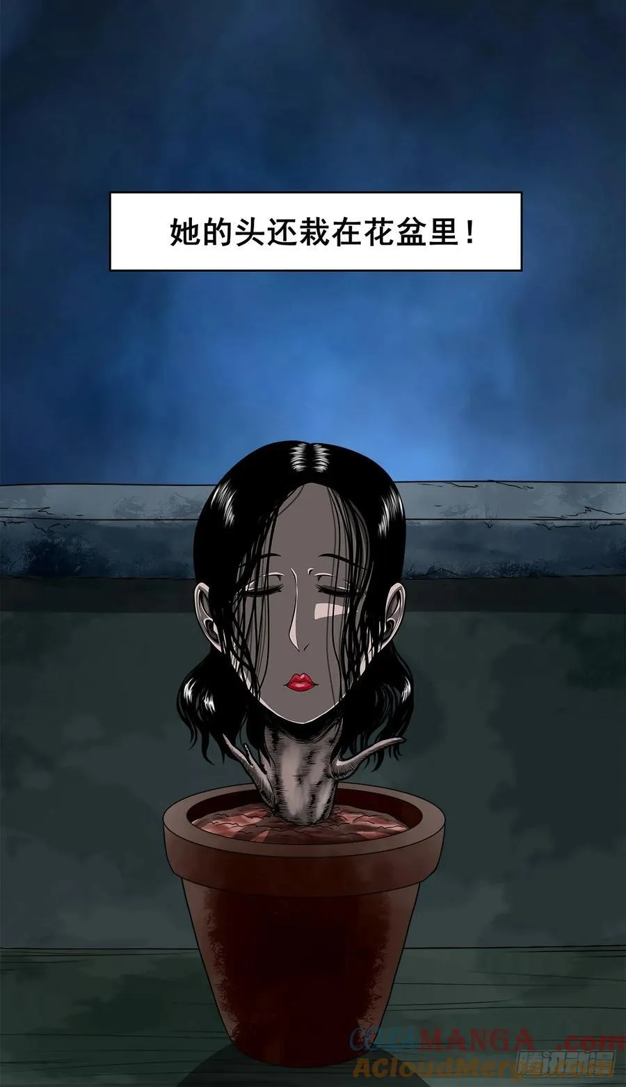 【壹佰陆拾伍】花盆里的女人 第13页