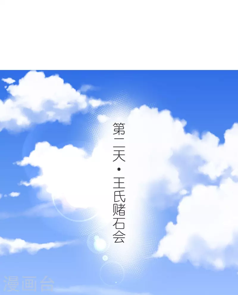 第137话 赌石会 第11页