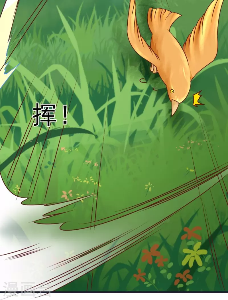 第64话 小金针鸟 第16页