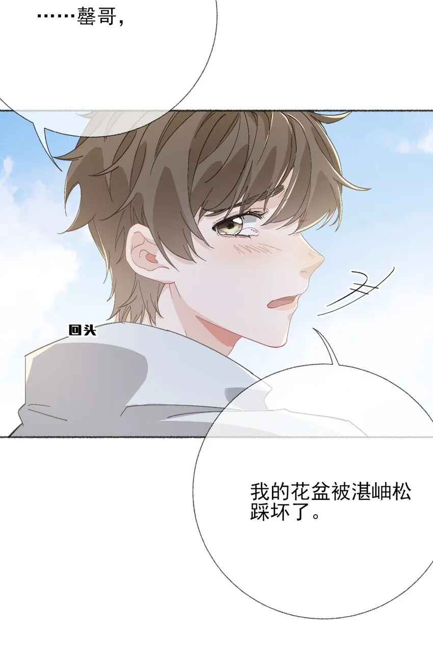 048 花盆“死”了 第19页