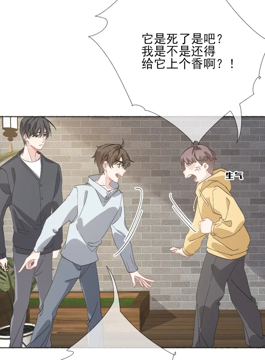 048 花盆“死”了 第28页