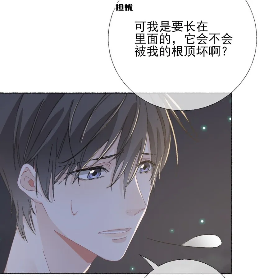 048 花盆“死”了 第33页