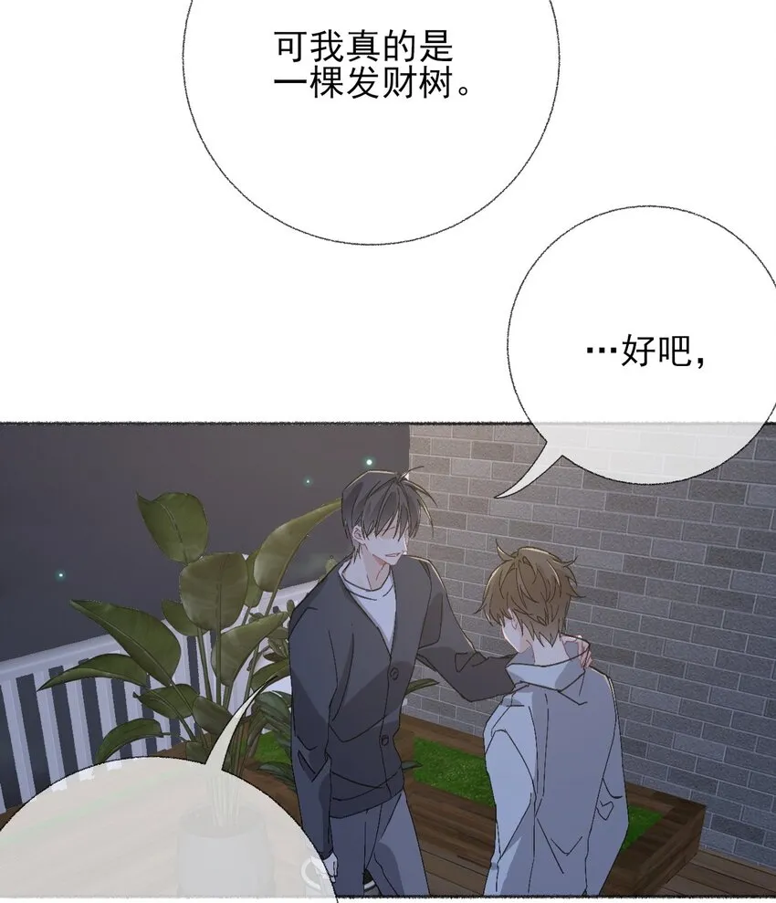 048 花盆“死”了 第38页