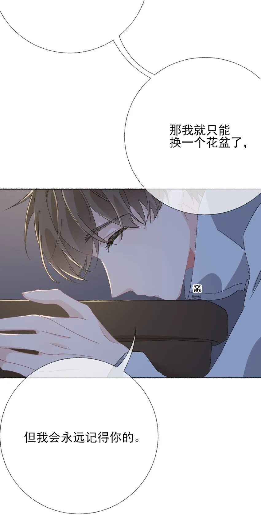 048 花盆“死”了 第41页