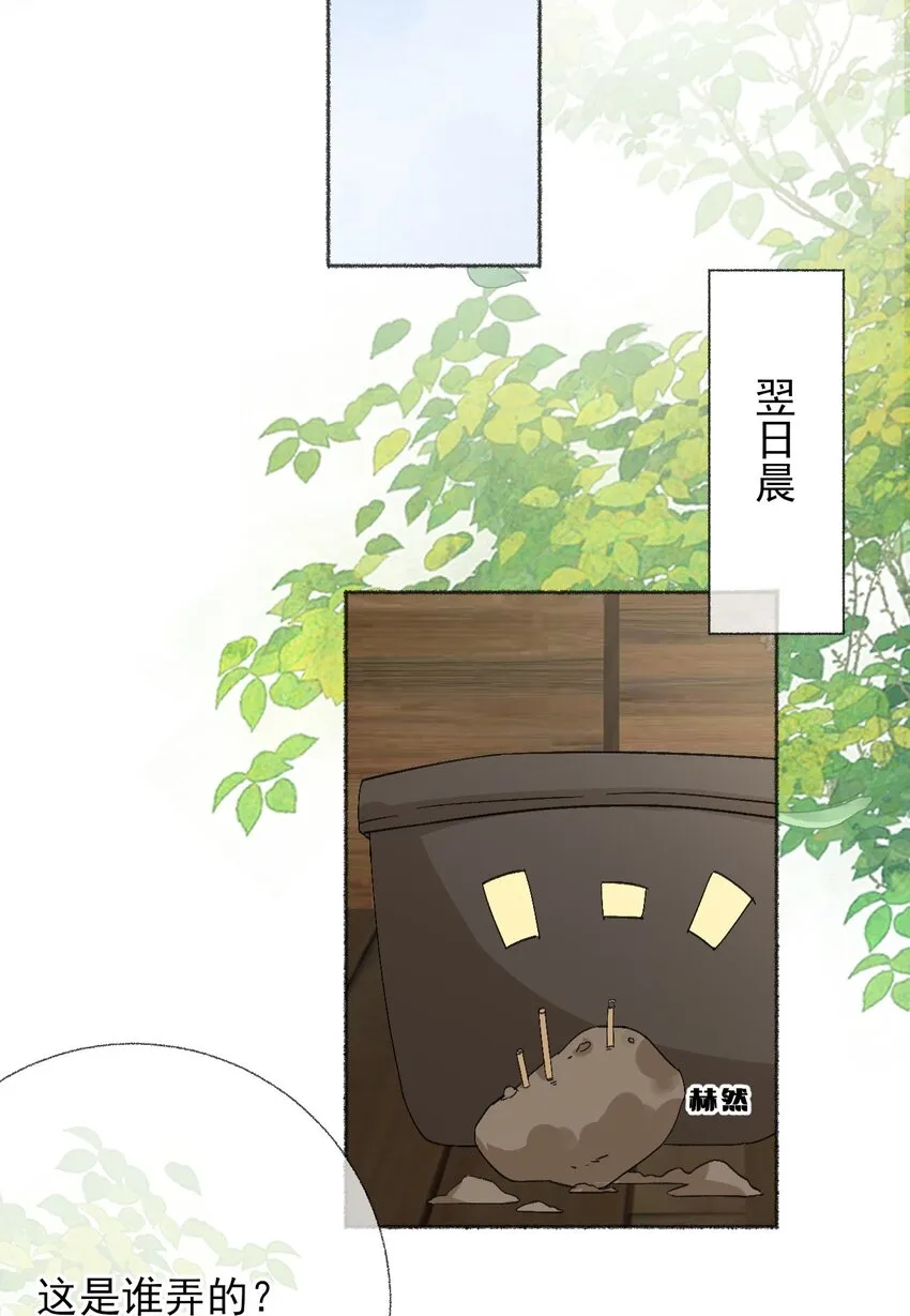048 花盆“死”了 第43页