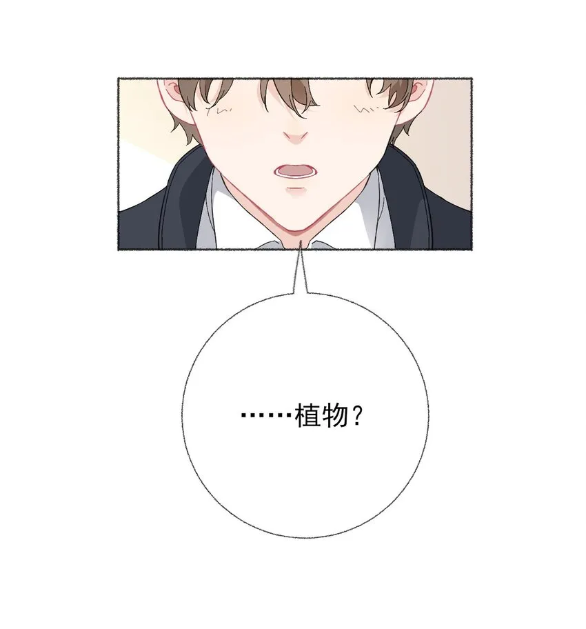 024 我会变成一棵植物 第35页