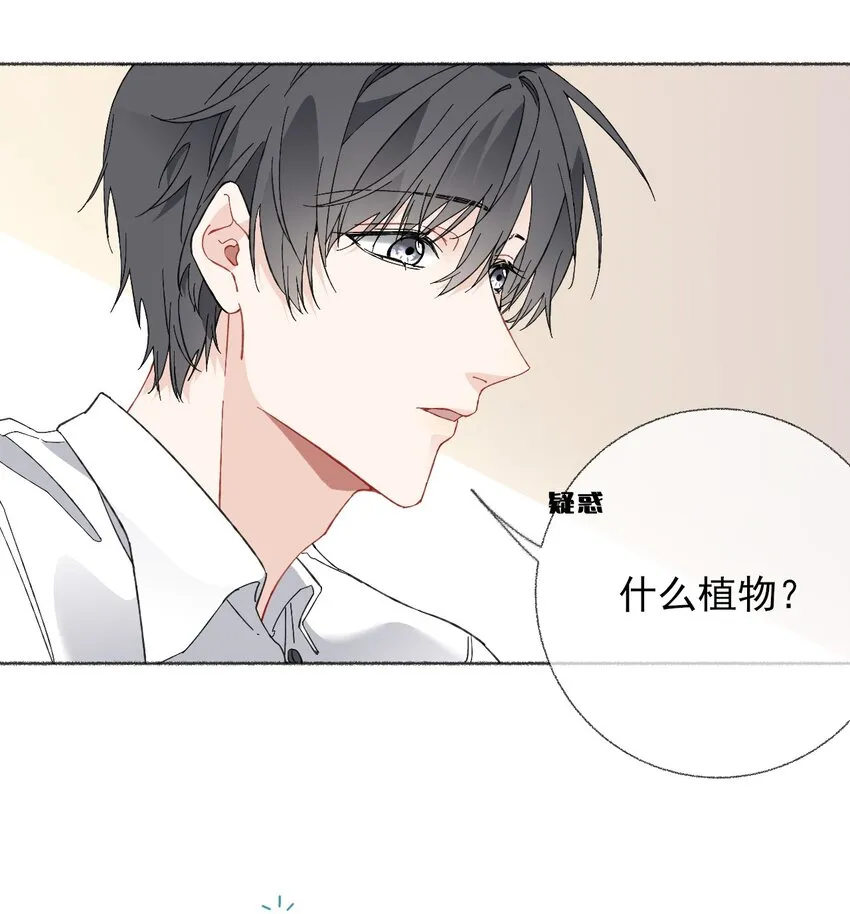 024 我会变成一棵植物 第36页