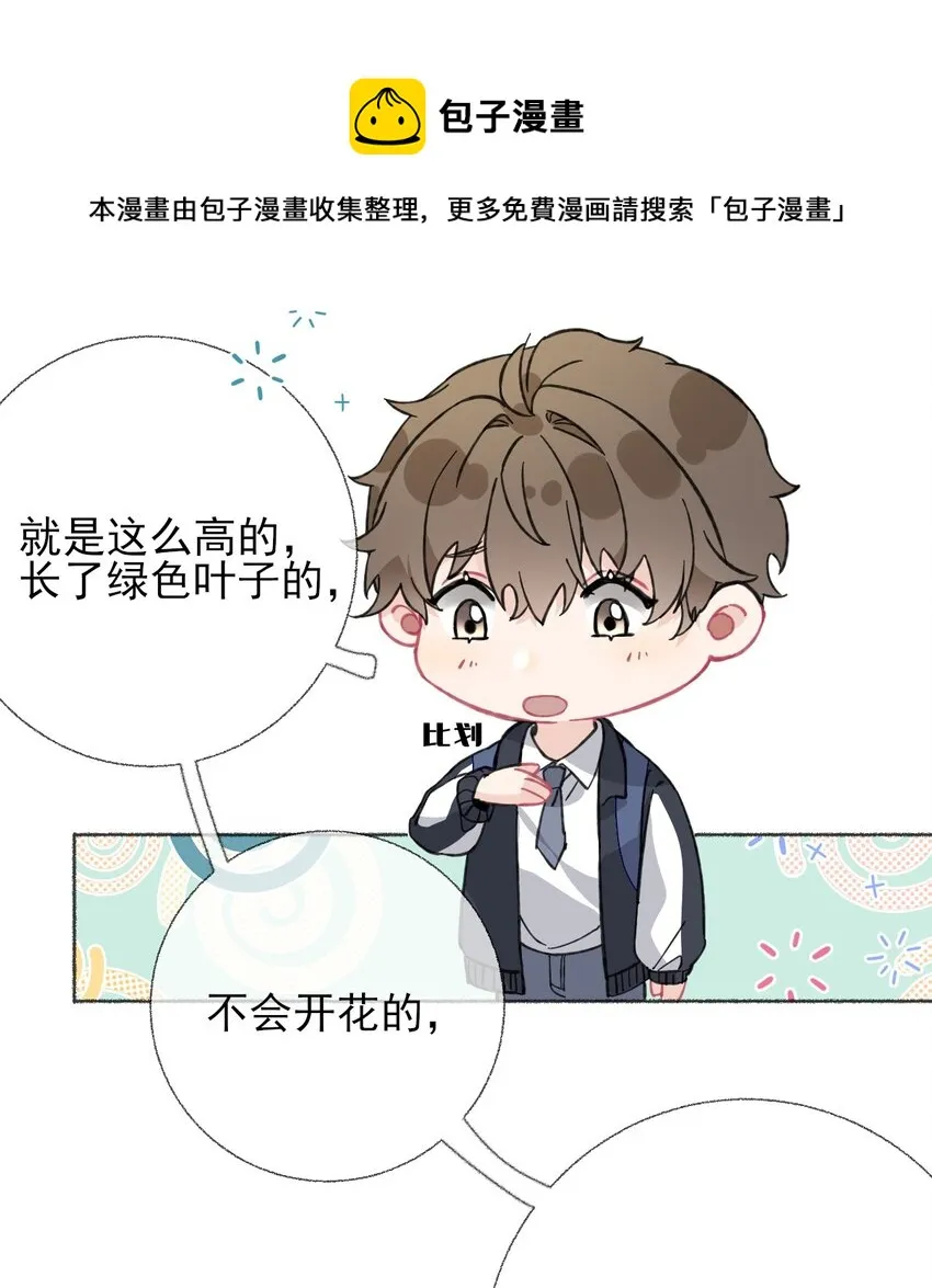 024 我会变成一棵植物 第37页