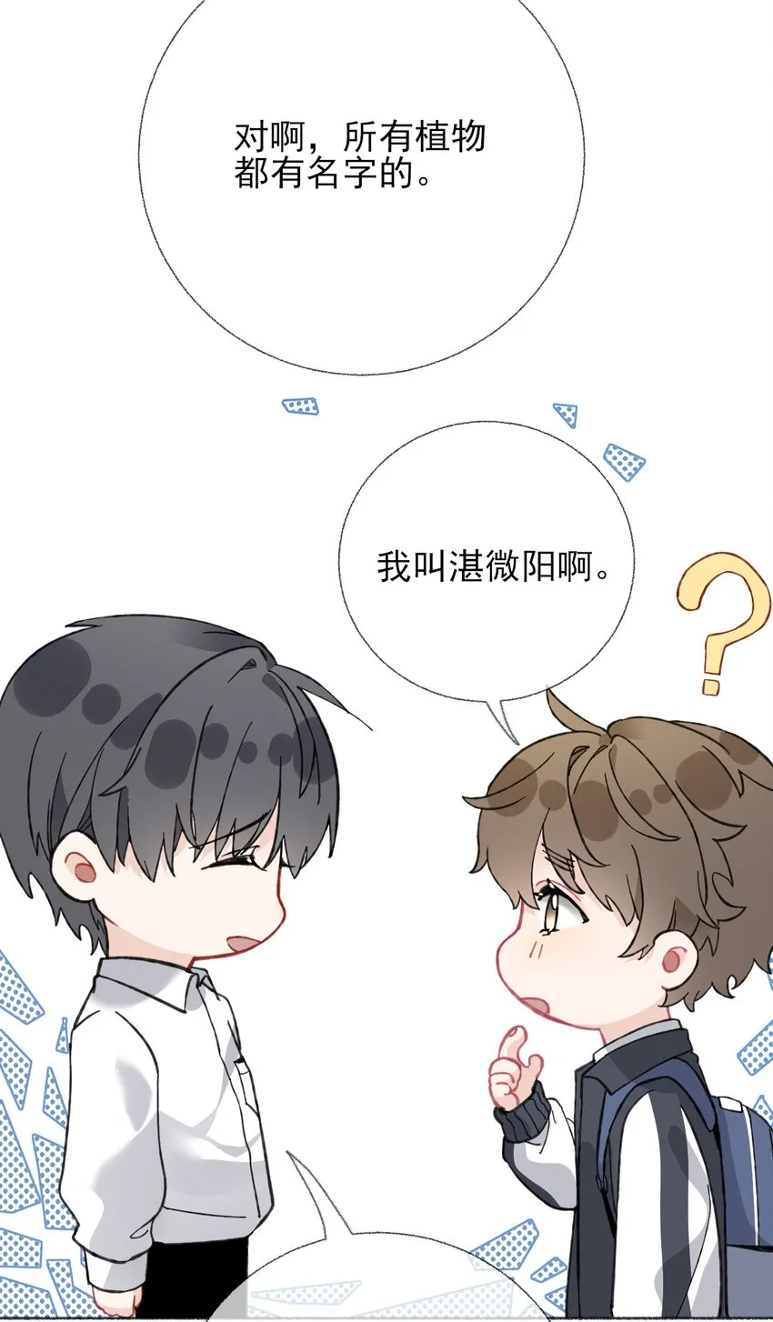 024 我会变成一棵植物 第39页