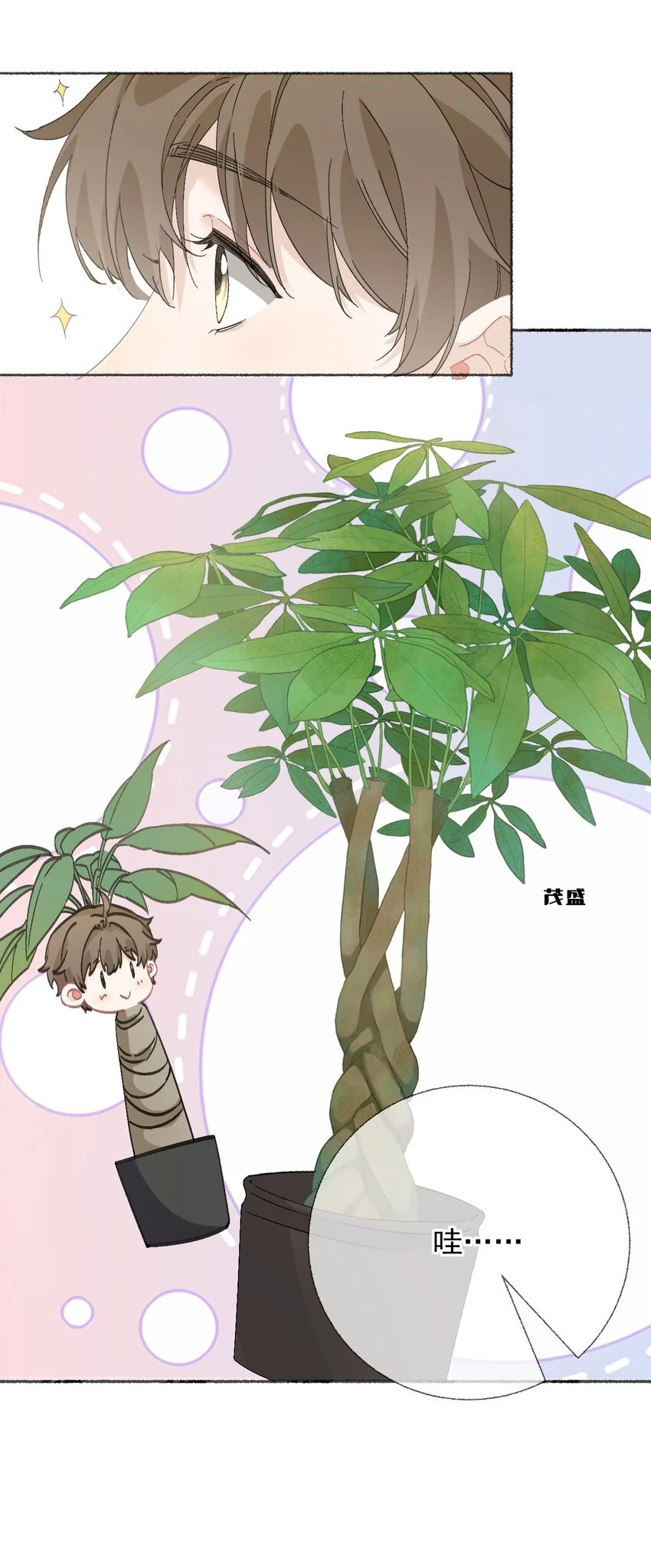 039那棵树好看吗？ 第43页