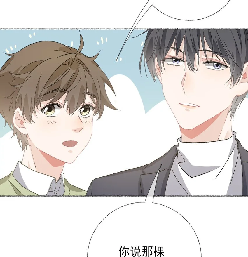 039那棵树好看吗？ 第45页