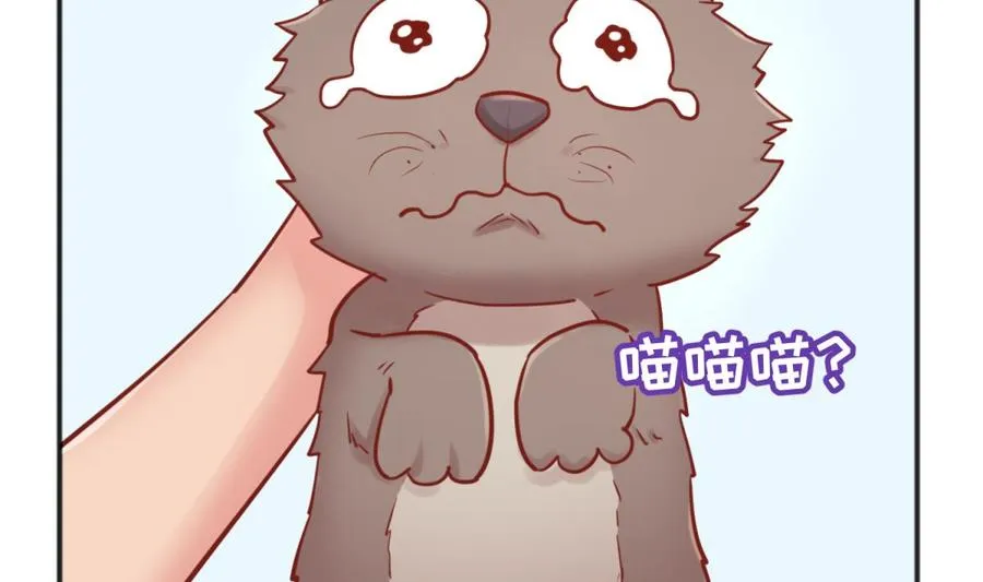 第45话 一通奇怪的来电 第5页