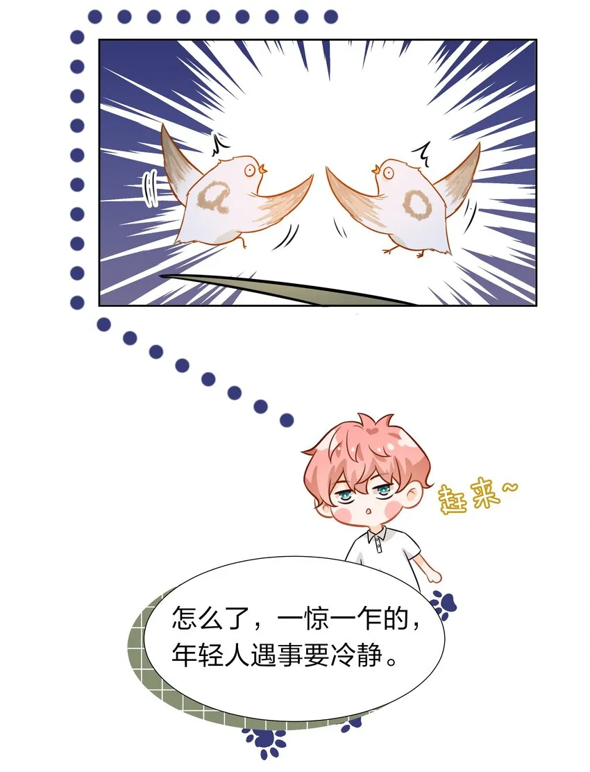 8 快来，我等你 第56页