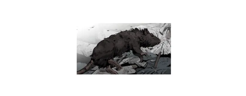 67.否则会死 第18页