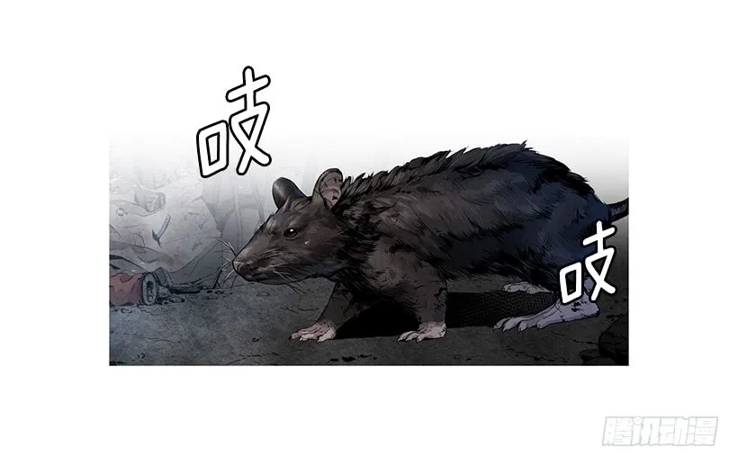 66.名不虚传 第27页