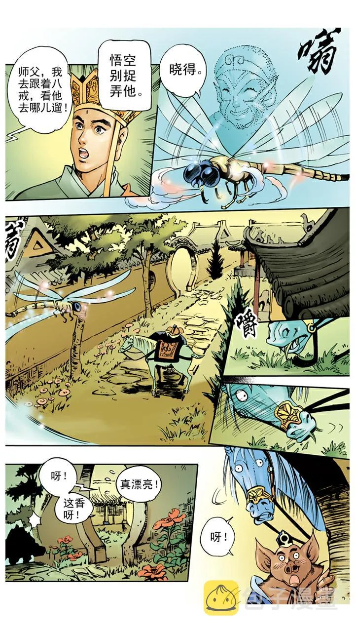 第34话 招婿 第17页