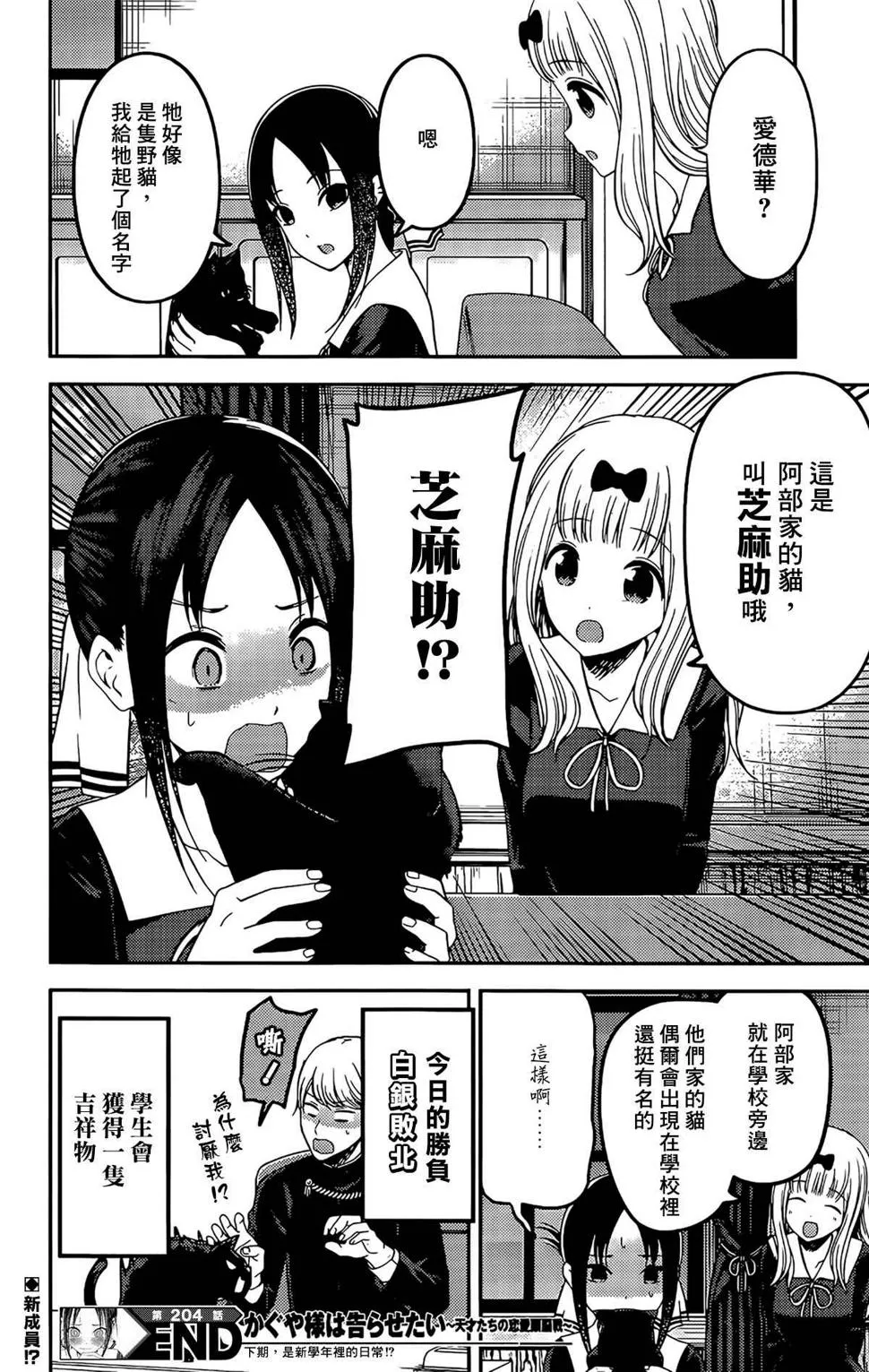周刊204 第17页
