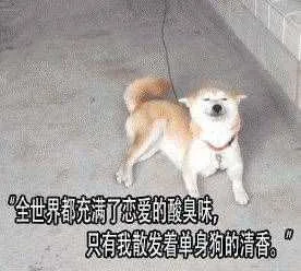周刊28话 第19页