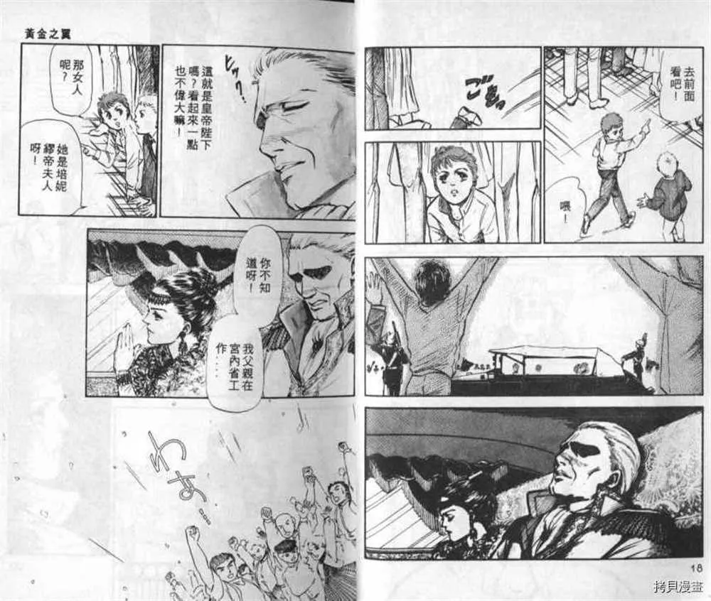 外传_黄金之翼 第8页