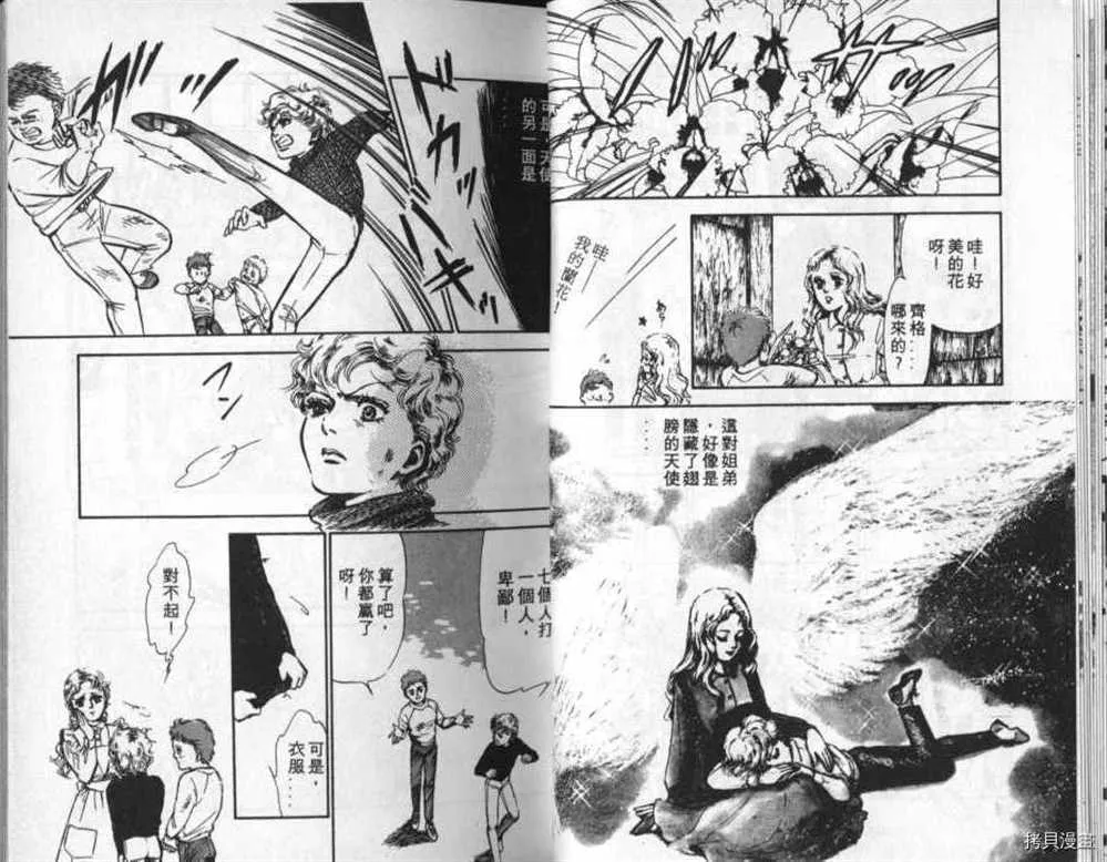 外传_黄金之翼 第11页