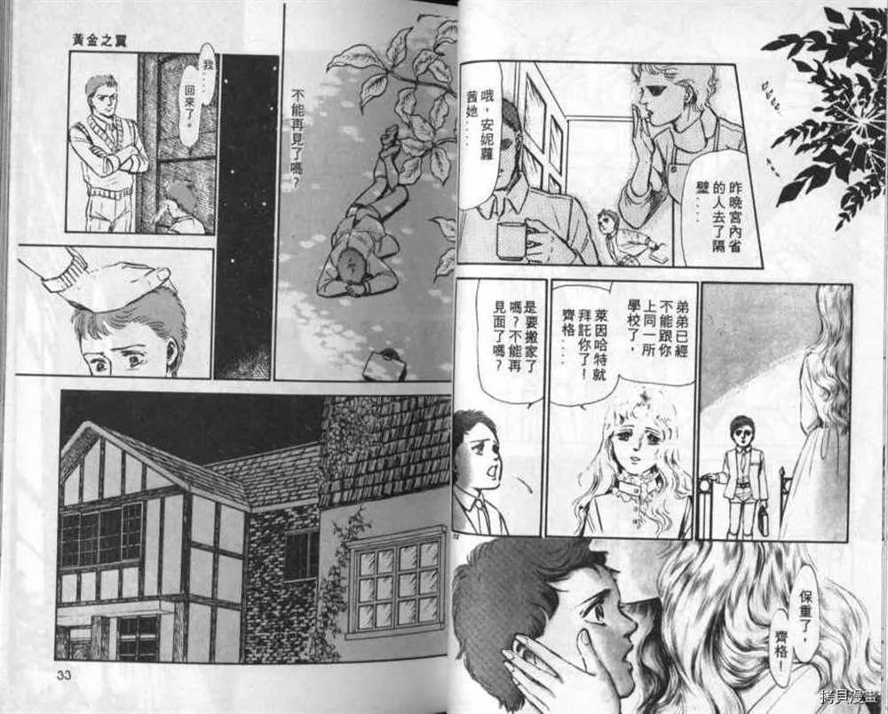 外传_黄金之翼 第15页