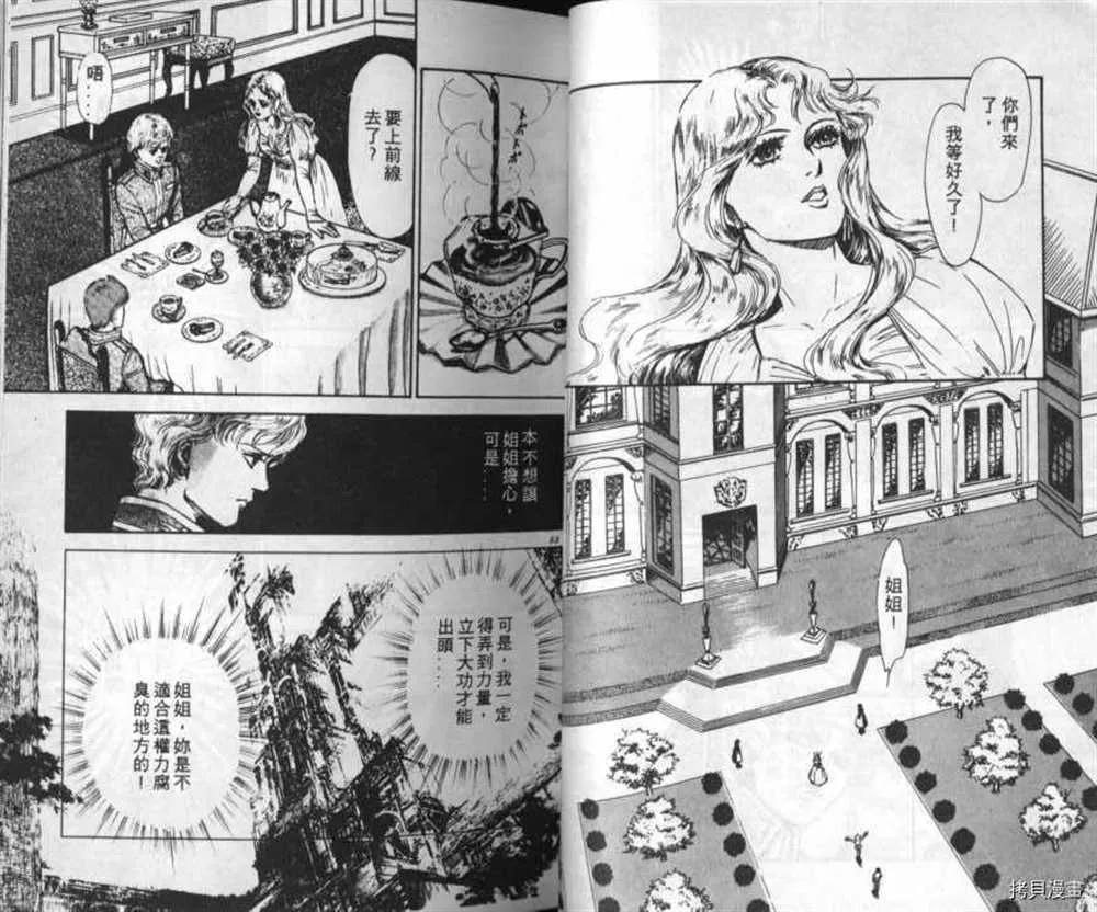 外传_黄金之翼 第25页