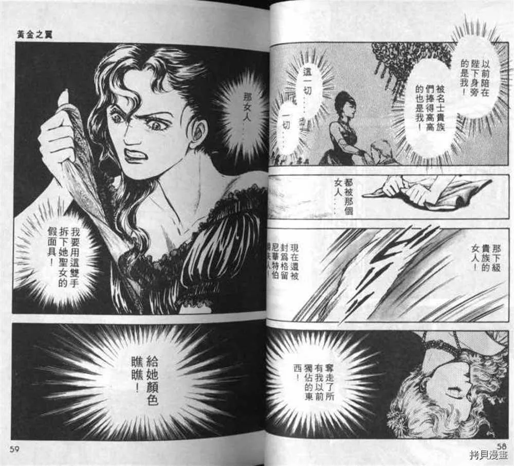 外传_黄金之翼 第28页