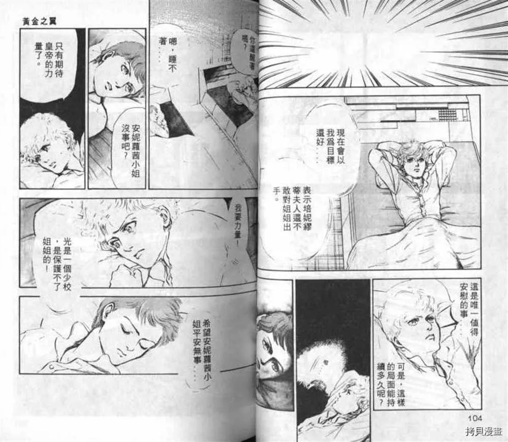 外传_黄金之翼 第51页